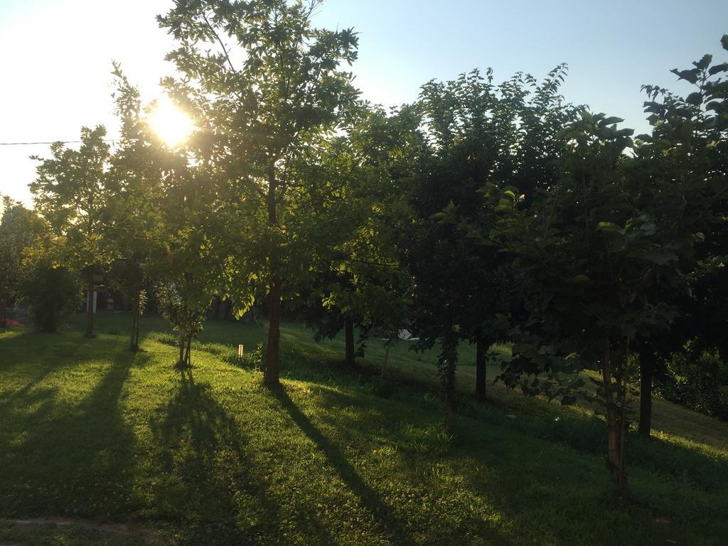 B&B Nido Sui Laghi San Donnino della Nizzola Экстерьер фото